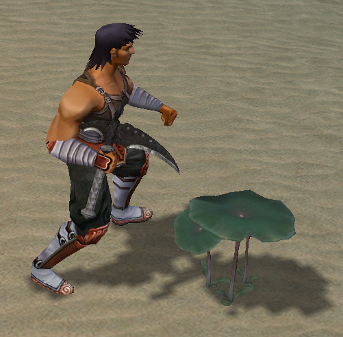 Collecte avec faucille